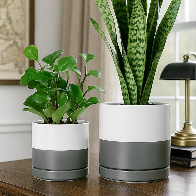 D'vine Dev 6.5 Inch & 8.2 Inch Ceramic Planter Pots for Plants with Drainage Hole and Saucer, Medium Plant Pots Set, White/Speckled Grey, 94-G-M-6
