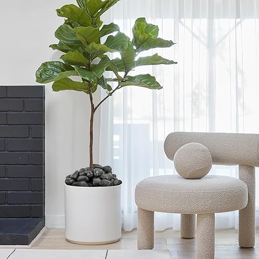 2-3 Inch Black Pebbles for Plants, 10 lbs River Rocks Decorative Black Stones, Ideal for Fish Tank, Vases, Crafting, Home Decor and Garden Landscaping