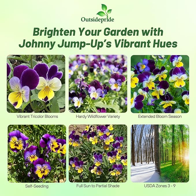 Outsidepride Johnny Jump Up Viola Wild Flower Seeds - 1/2 lb Easy-to-Grow, Compact & Hardy Perennial Seeds for Planting Outdoors, Ideal for Pollinators, Garden Beds, Containers, & Hanging Baskets