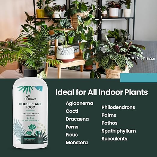 32oz Houseplant Fertilizer, All Purpose Indoor Plant Food - Makes 175+ Gallons, Plant Food for Houseplants - Fiddle Leaf Fig Tree, Pothos & More, 6-2-4 NPK, Concentrated Fertilizer for Indoor Plants