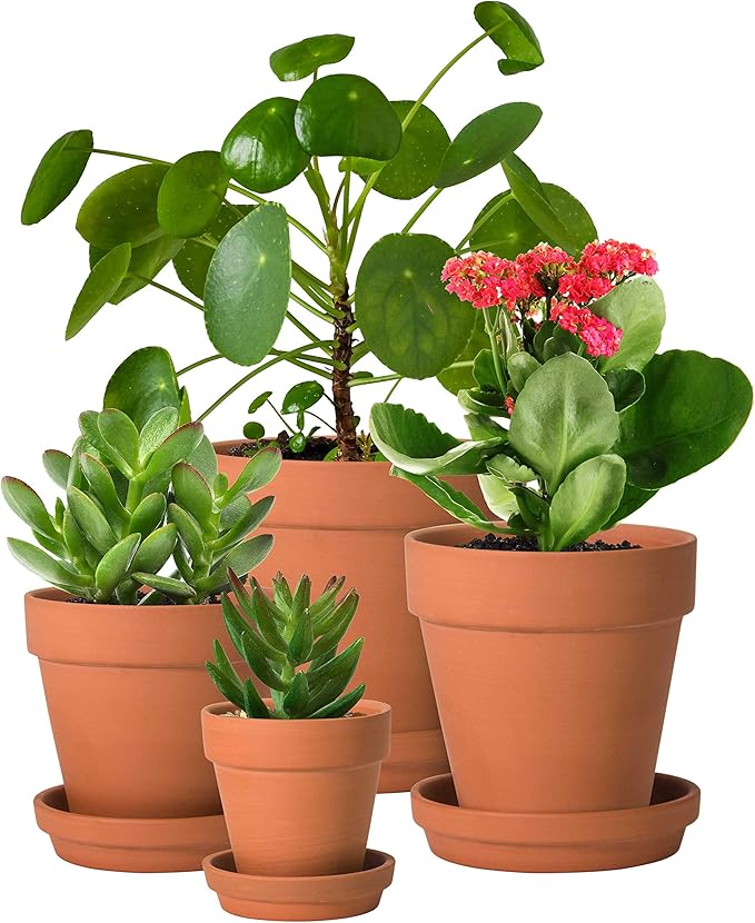 D'vine Dev Set of 4 Small Clay Planters, 3 Inch 4.5 Inch 5 Inch 6 Inch Terracotta Plant Pots with Drainage Hole and Saucers for Indoor Plants, 588-57-1