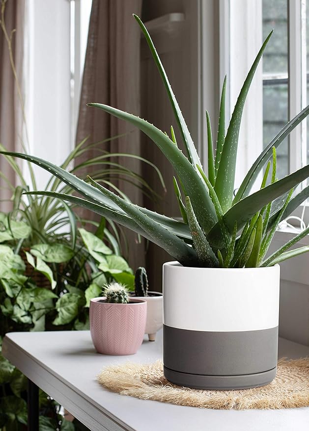 D'vine Dev 10 Inch Ceramic Planter Pot with Drainage Hole and Saucer, Indoor Cylinder Round Planter Pot, White/Speckled Grey, 94-O-E-6