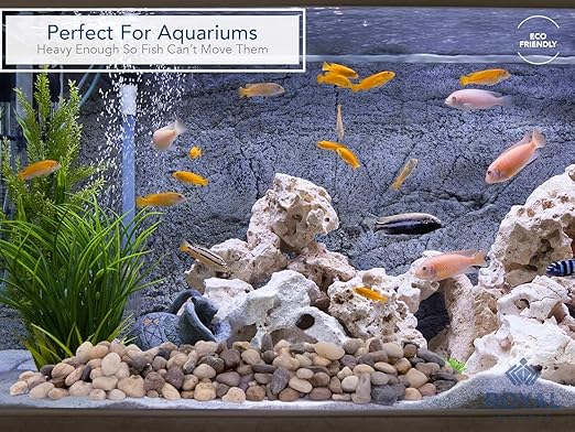 Royal Imports 2LBS River Rocks Decorative Ornamental Pebbles, Garden Landscaping Stones, Gravel Filler for Plants, Vases, Succulents, Home Decor, Aquariums, Crafting, Animal Habitat - Small Natural