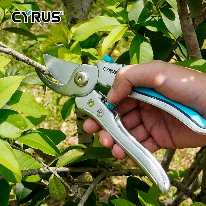 CYRUS Pruning Shears, 8" Pruning Shears Professional Steel Blades with Bypass Edge for Cutting Branches and Twigs up to 24mm in Diameter, Tool for Pruning Garden Branches and Potted Plants (00317)