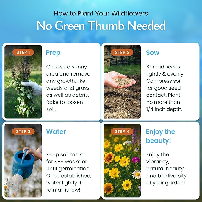 Created By Nature All Perennial Flower Seeds, 15 Flower Varieties, 49,000 Wildflower Seeds