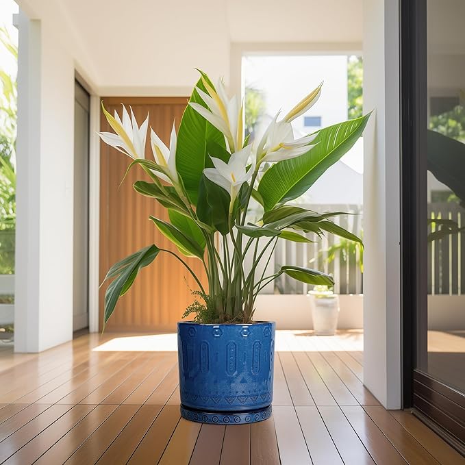 Plant Pot Saucer - 11.4 Inch Plant Saucer for Outdoors Ceramic Plant Tray for Indoors No Holes Large Plant Drip Trays Round Flower Pot Saucer Plant Dishes to Catch Water Blue