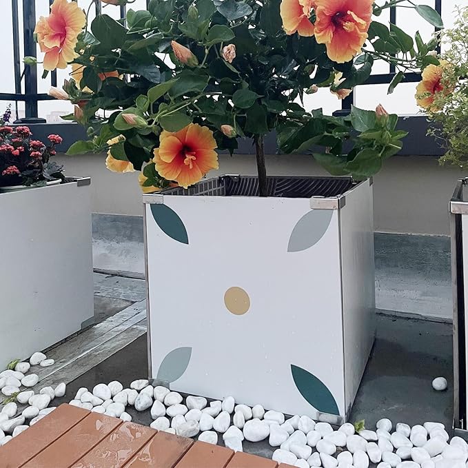 10 lbs White Gravel for Aquarium, 2-3 Inch Large Pebbles for Planters, Decorative River Rocks for Plants Indoor, Landscaping, Vases, Fish Tank, Crafting and Garden