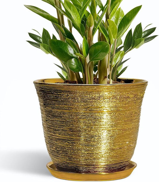 Ceramic Planter - 10 Inch Plant Pot with Drainage Hole and Saucer, Round Flower Pots for Indoor Outdoor, Large Modern Decorative Planter, Garden Room Home Decor, Gifts for Plant Lover, Gold