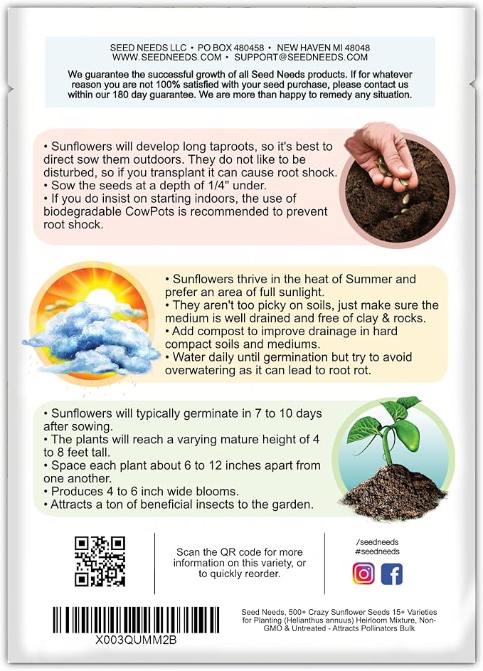 Seed Needs Sunflower Seeds to Plant The Original Crazy Blend | 500+ Heirloom Seeds 15+ Varieties Open Pollinated & Untreated | Resealable Bulk Package Multicolored Blooms Flower Seed