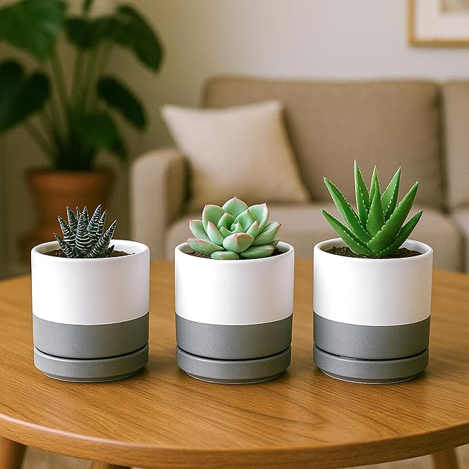 D'vine Dev Set of 3 Plants Pots, 3.5 Inch Ceramic Planter Pot for Plants with Drainage Hole and Saucer, White/Speckled Grey, 94-N-A-6