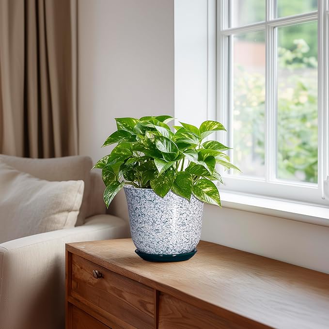 5.6 Inch Plant Pot - Ceramic Plant Pots for Indoor Outdoor, Round Orchid Succulent Pots with Drainage Hole and Saucer, Modern Flower Pot, Home Office Decor, Green-White