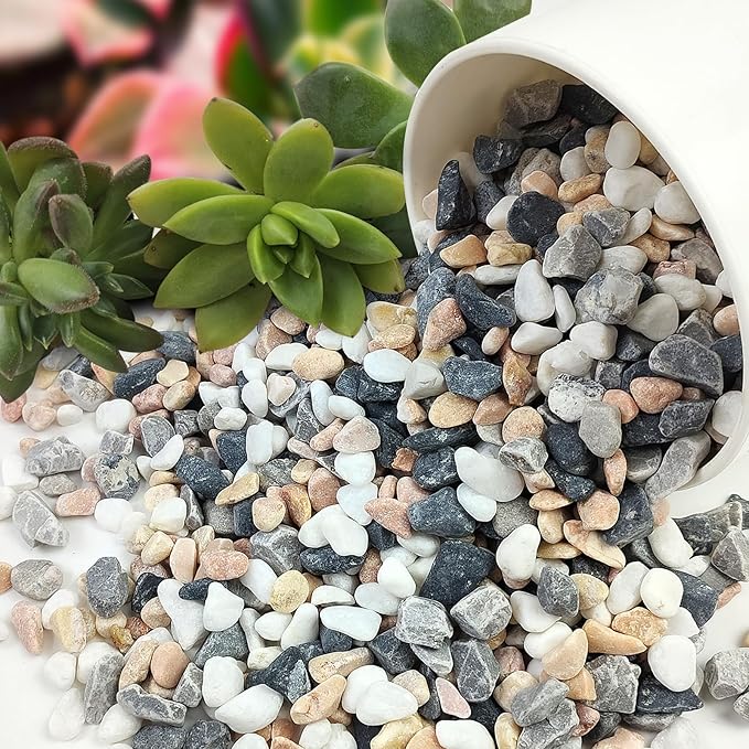 5 lbs Succulent and Cactus Pebbles for Indoor Plants, 3/8 Inch Pea Gravel Decorative River Rocks for Plants, Vases, Terrarium, Aquarium, Potted Top Dressing and Outdoor Landscaping Stones