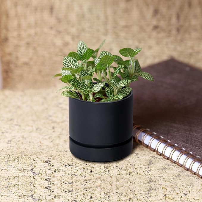 Phoenix Vine 4 Inch Planter Pot with Drainage Hole & Saucer, Deep Water Catch Tray, Straight Cylindrical Round Pot for Plants, Matte Black, Pack of 1, 23-C-R-1