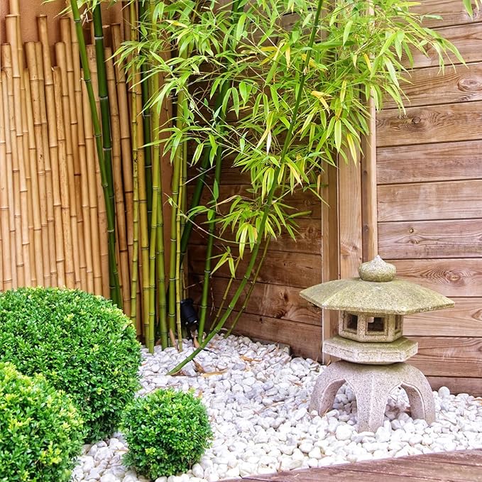 40 Pounds Large White River Rocks for Outdoor Landscaping, 2-3 Inch Natural White Stones for Planters, Polished Decorative Pebbles for Indoor Plants Vase, Aquarium and Garden Rocks