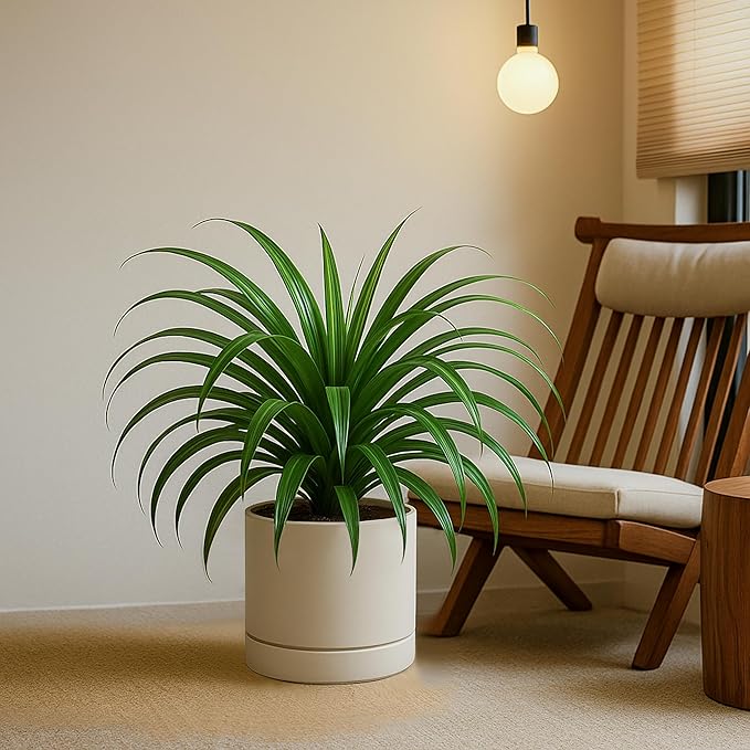 Phoenix Vine 8 Inch Planter Pot with Drainage Hole & Saucer, Deep Water Catch Tray, Straight Cylindrical Round Pot for Plants, Oatmeal, Pack of 2, 23-E-T-2