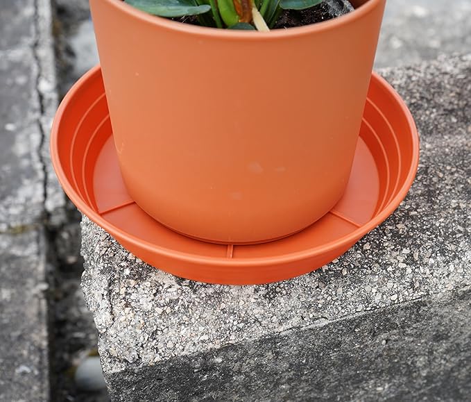 Plant Saucer 8 Inch 4 Pack 6 8 10 12 14 16 18 20 25, Plastic Plant Trays for Pots，Extra-Deep Plant Water Dray Tray, Bird Bath Bowl, Heavy Flower Plant saucers Indoors and Outdoor No Holes 8in-4 red