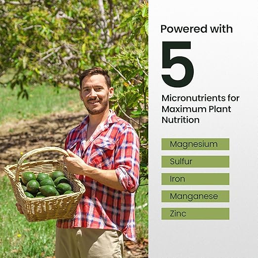 16oz Fruit Tree Fertilizer for Avocados - Makes 32 Gallons of Avocado Tree Fertilizer, Premium Water-Soluble Avocado Plant Food, Rich with Micronutrients for Consistent Lush Growth & Abundant Harvest