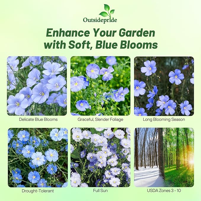 Outsidepride Blue Flax Seeds - 1 lb Perennial Flower Seeds for Planting, Self-Seeding, Drought-Tolerant w/Compact Growth, Ideal for Small Gardens, Meadows, Borders, or Mass Plantings