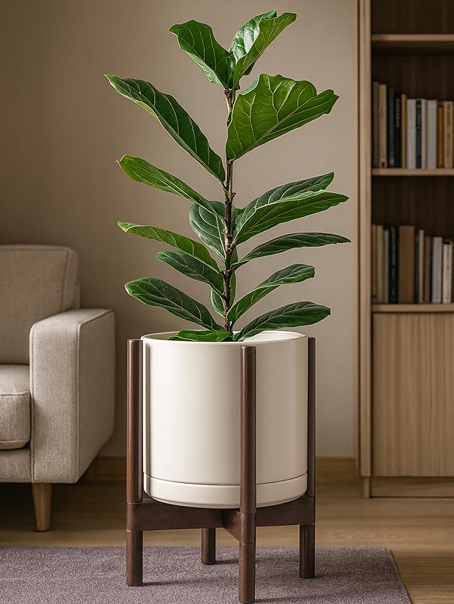 D'vine Dev Ceramic Planter with Walnut Color Stand - 12 Inch Modern Round Flower Pot with Wood Planter Holder, Oatmeal, 55-B-W-8