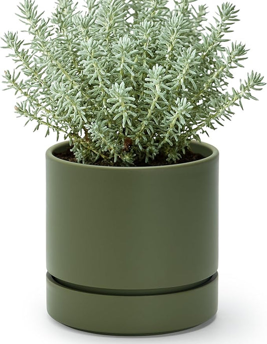 Phoenix Vine 6 Inch Planter Pot with Drainage Hole & Saucer, Deep Water Catch Tray, Straight Cylindrical Round Pot for Plants, Olive, Pack of 1, 23-F-S-1
