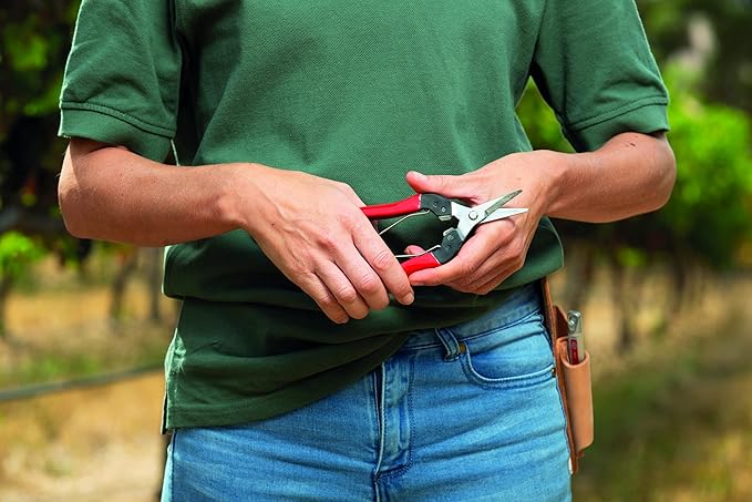 Felco F321 Pruning Snips – 7" Swiss-Made Garden Clippers with Curved Blade & Rounded Tip | Pruning Shears for Gardening | Garden Snips and Pruners with Carbon Steel Blade, Sap Groove