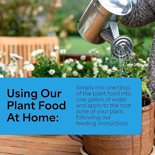 Grow More All-Season's Plant Food (20-20-20 Fertilizer) - 5lbs of All Purpose Fertilizer - Water Soluble Food for Houseplants & Outdoor Plants with Chelated Micronutrients