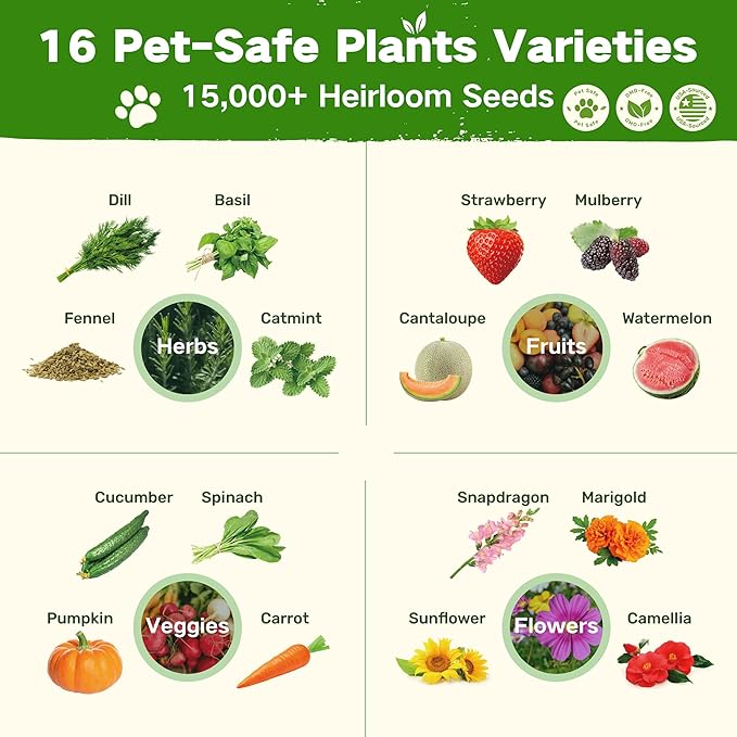 Lush&Dew Pet-Friendly Heirloom Seed Bank, Gardening Gifts for Women Men, 16 Varieties 15,000+ Non-GMO Seeds for Planting Herbs Flowers Vegetables in Raised Bed Windowsill, Annuals & Perennials