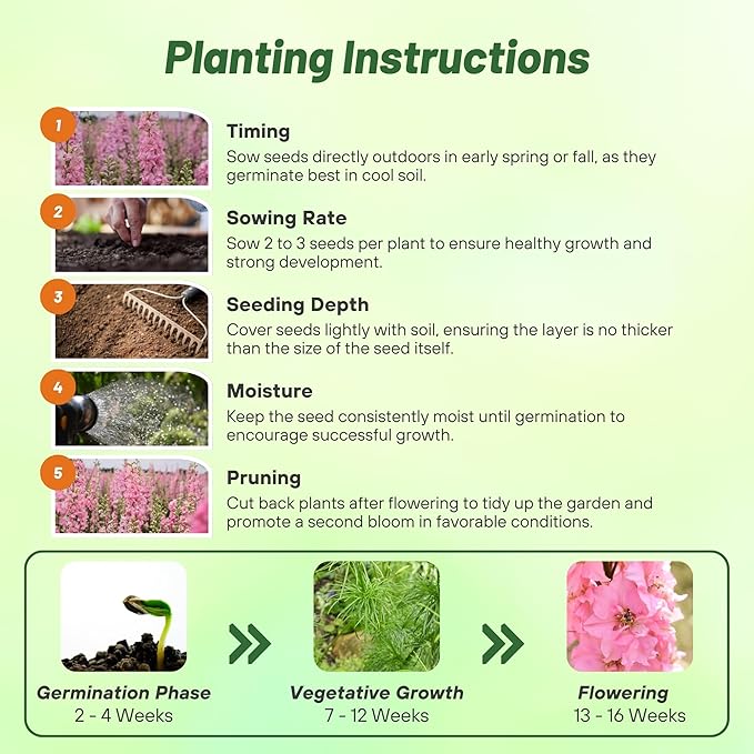 Outsidepride Delphinium Pink Larkspur Seeds for Planting Outdoors - 1000 Pcs Annual, Self-Seeding, Heat & Drought Tolerant Wildflower Seeds, Colorful Blooms for Flower Arrangement & Pollinator Garden