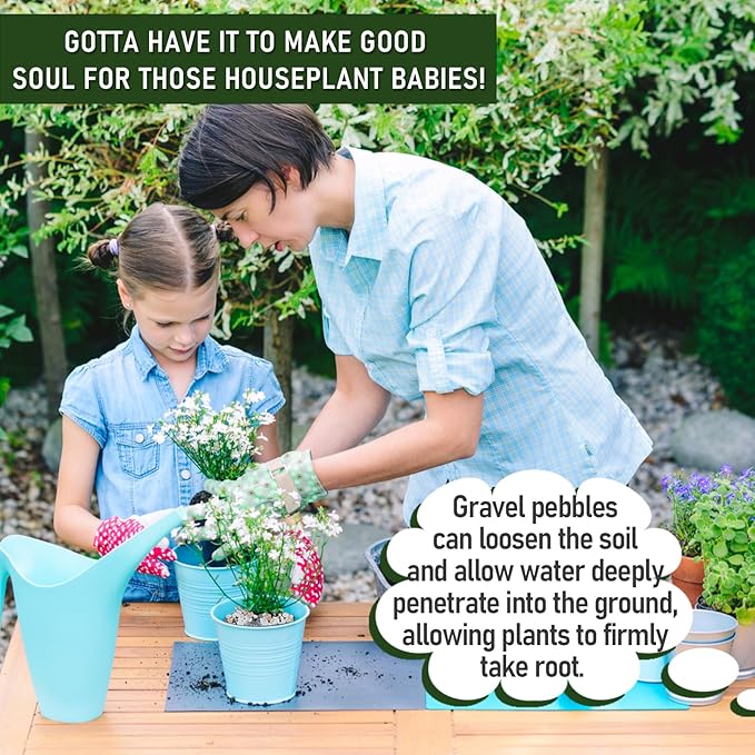 25 LBS GreyMixed Pea Gravel, Natural Succulent and Cactus Gravel Pebbles, Pebbles for Indoor Plants, Natural Gardens Mulching, for Houseplants, for Aquarium Gravel, to Maintain Soil Aeration(4-6mm)