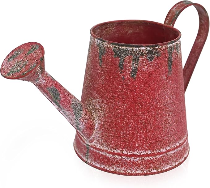 Cute Small Watering Can Indoor Plants Garden Metal Decorative Watering Cans for Outdoor Plants Bonsai Outdoor Garden Flower Decorative (Red, 1.5L, 50.7 Oz)