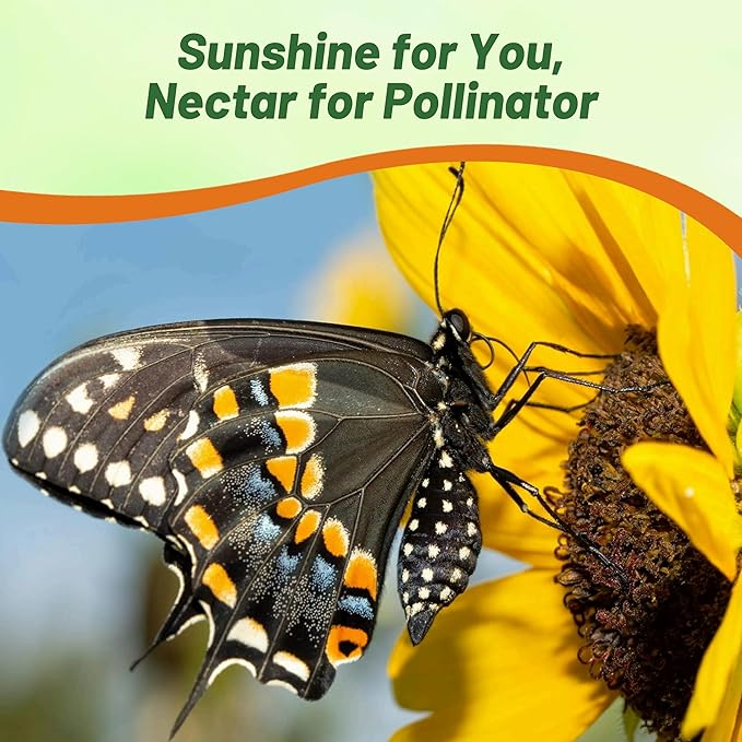 Outsidepride Wild Sunflower Seeds for Planting - 1000 Pcs Annual, Easy to Grow Flower Seeds w/Vibrant, Abundant Blooms for Cut Flower Arrangements & Pollinator & Vegetable Gardens