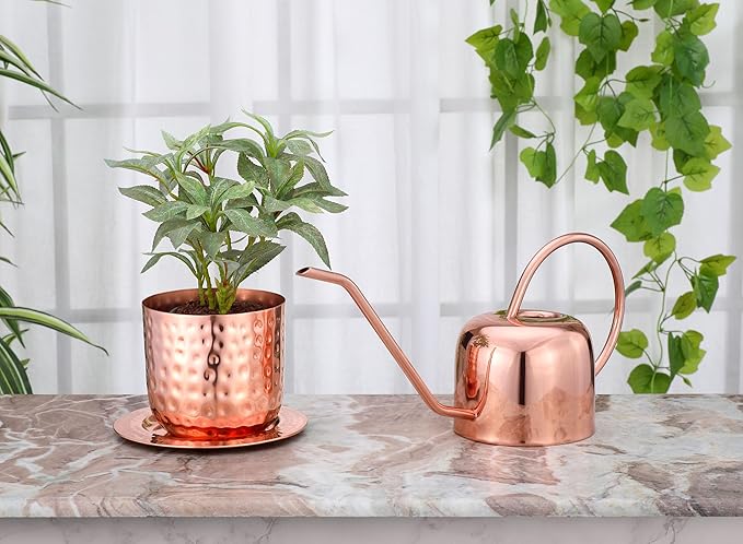 Glytterati - Indoor Watering Can and Planter with Plate.