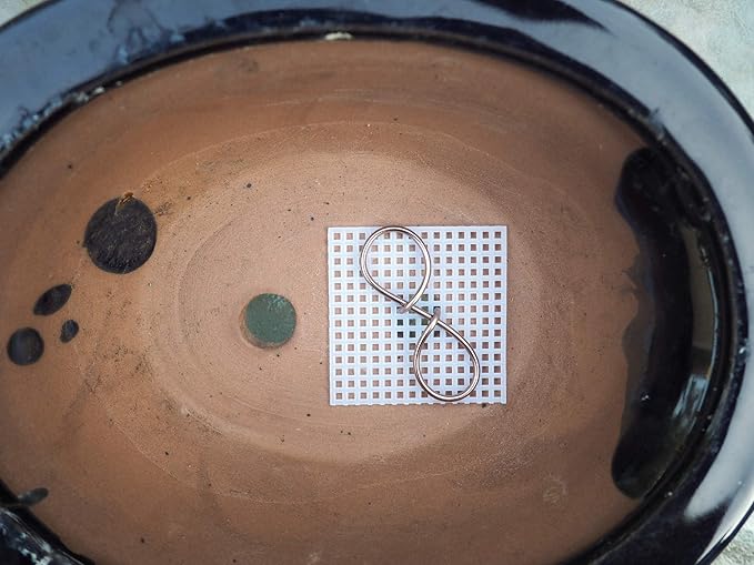 Grow A Bonsai Tree 50 Count 2x2 Inch Rigid Bonsai and Flower Pot Drainage Mesh Screens