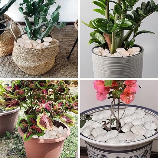 20lb Cream White River Rocks Outdoor Landscaping- Polished Pebble for Plants – Garden Decorative Stones-1-2 Large Plant Rocks,Ideal for Aquarium, Home Decor