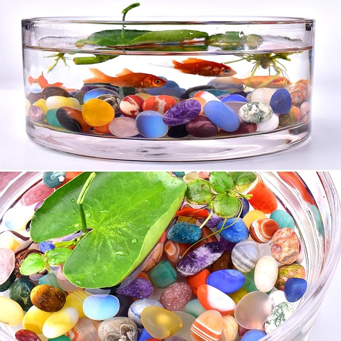 Polished Multicolor Healing Crystal Stone Set, 24 Types of 0.8" Handpicked Tumbled Stones for Healing, Reiki, Meditation, Crafting, Home Decor, Ethically Sourced, Mixed crystals-0.8"