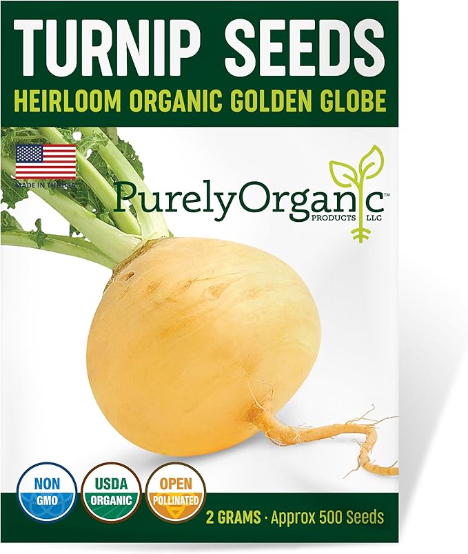 Organic Turnip Seeds (Golden Globe) - Approx 500 Seeds - USDA Organic, Non-GMO, Open Pollinated, Heirloom, USA Origin