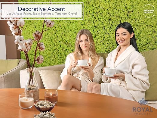 Royal Imports 5LBS River Rocks Decorative Ornamental Pebbles, Garden Landscaping Stones, Gravel Filler for Plants, Vases, Succulents, Home Decor, Aquariums, Crafting, Animal Habitat - Large Light