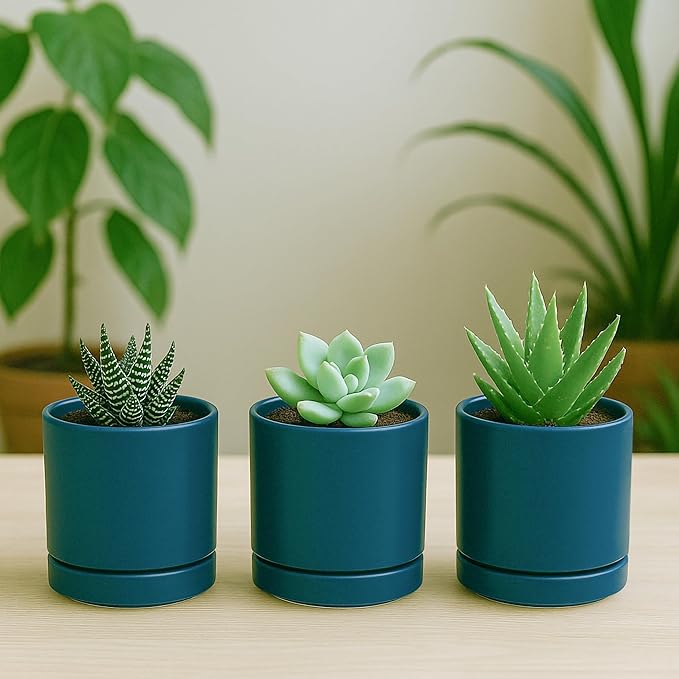 D'vine Dev Set of 3 Plants Pots, 3.5 Inch Ceramic Planter Pot for Plants with Drainage Hole and Saucer, Teal, 94-N-A-9