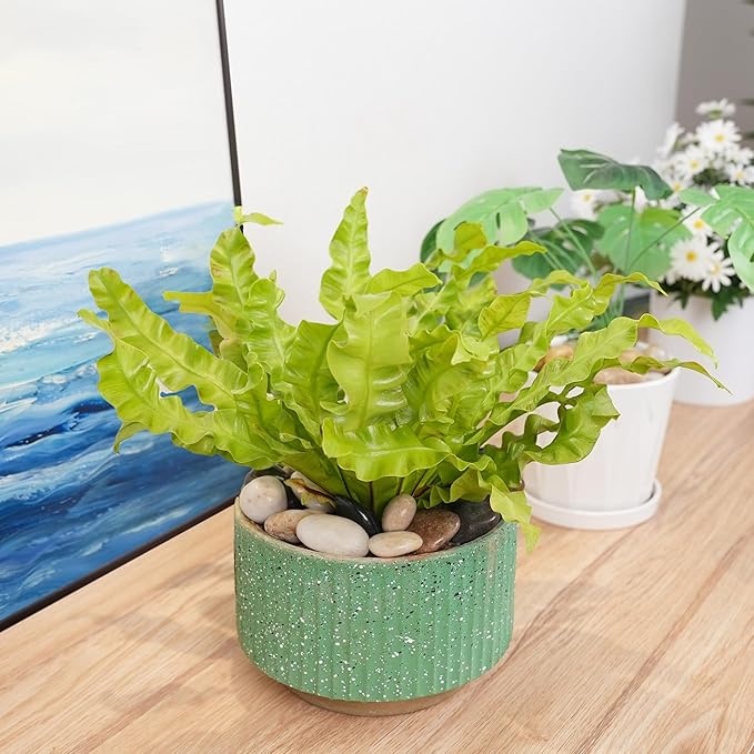 StoneCreek 24 LBS River Rocks(2 x 12 LBS Bags), Large Size, Decorative Garden Stones for Plant Landscaping, Polished Gravel Filler Pebbles for Home Decoration, Vases, Succulents(Mixed Pebbles)