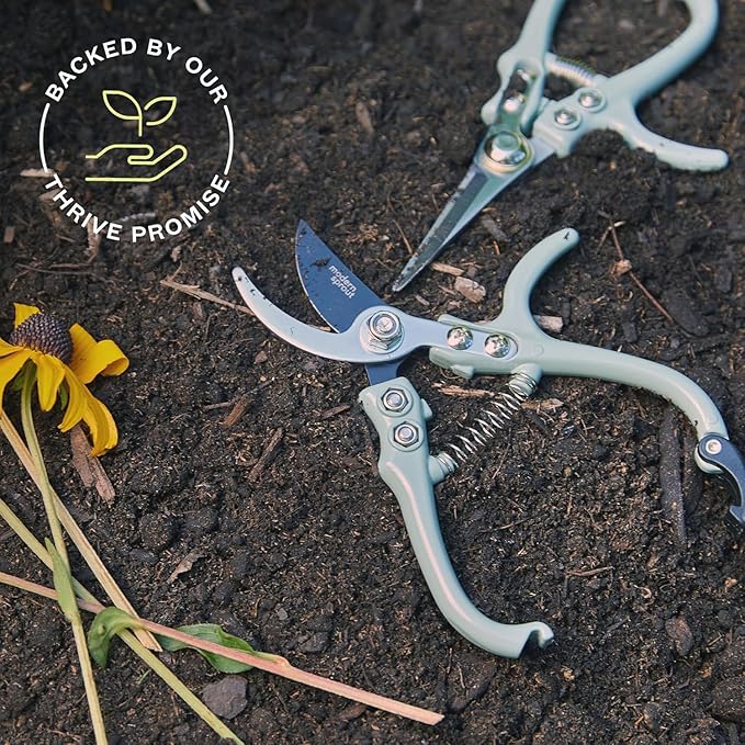 Modern Sprout Hand Pruners & Shears Set with Blister Pack - Lightweight Gardening Tools with Easy Lock - Sharp Carbon Steel Blades -Rust Resistant Scissors for Herbs, Flowers - Ocean