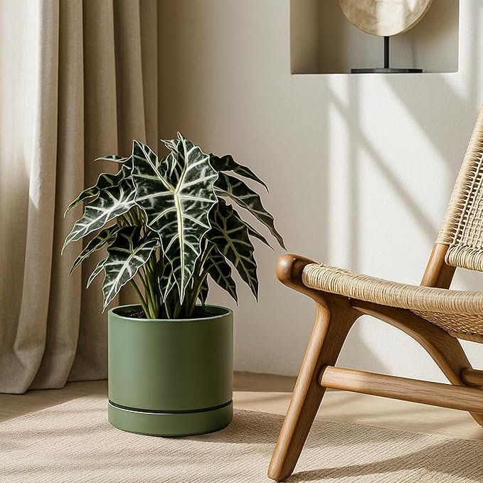 Phoenix Vine 8 Inch Planter Pot with Drainage Hole & Saucer, Deep Water Catch Tray, Straight Cylindrical Round Pot for Plants, Olive, Pack of 2, 23-F-T-2