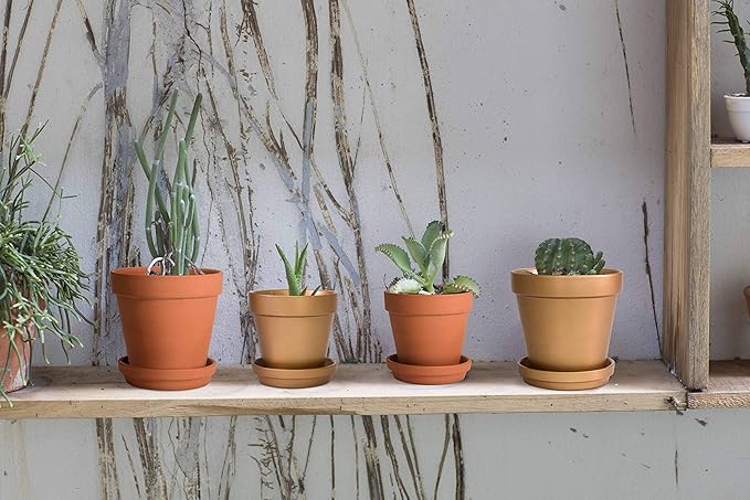 D'vine Dev Set of 4 Small Clay Planters, 3 Inch 4.5 Inch 5 Inch 6 Inch Terracotta Plant Pots with Drainage Hole and Saucers for Indoor Plants, 588-57-1