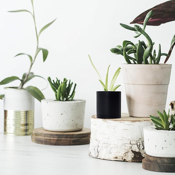 D'vine Dev 24 Pack 2 Inch Mini Plastic Plant Pots, Small Garden Planters for Plant with Drainage Holes and Saucers, Black Color, 74-Y-A-6