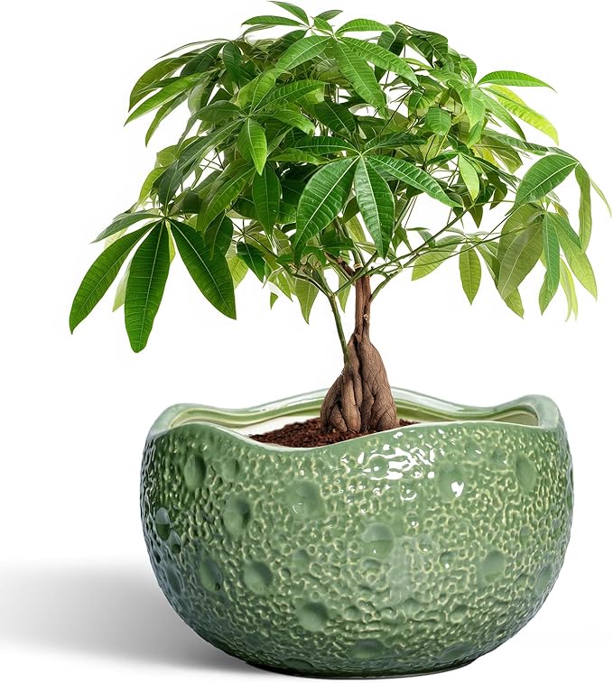 Ceramic Pots for Plants - 10 Inch Plant Pot for Indoor Outdoor, Round Bonsai Pots with Drainage Hole, Modern Planter, Decorative Flower Pot, Living Room Decor, Gifts for Plant Lovers, Green