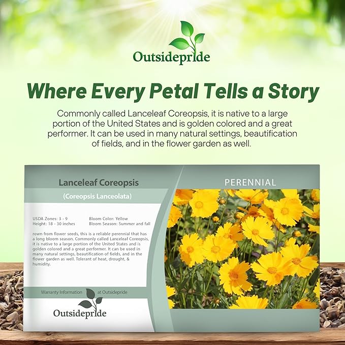 Outsidepride Lance-leaved Coreopsis Seeds - 5000 Pcs Perennial, Humidity & Drought Tolerant Flower Seeds for Planting Clumping Vibrant Golden Blooms, Ideal for Xeriscaping and Low Maintenance Gardens