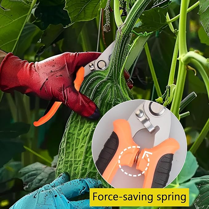 Pruning Shears Gardening Scissors Tools: 3pcs Outdoors&Indoor Garden Clippers, Rose Snips, Plant Clippers, Wood Pruner, Gardener Work Accessories for Flower Arrangement, Yard Landscaping (Multi-color)