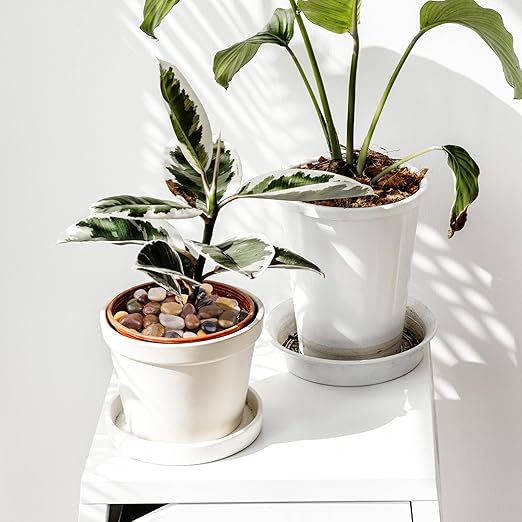 Pebbles for Plants 10lbs, 1-2Inch Mixed Color Natural River Rocks for Aquarium, High Polished Decorative Stones for Vase Filler Fish Tank Landscaping Garden