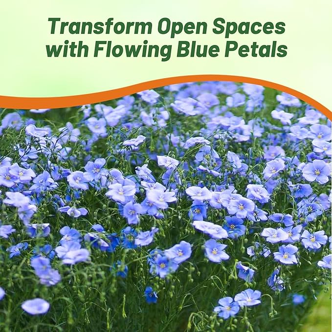Outsidepride Blue Flax Seeds - 5000 Pcs Perennial Flower Seeds for Planting, Self-Seeding, Drought-Tolerant w/Compact Growth, Ideal for Small Gardens, Meadows, Borders, or Mass Plantings