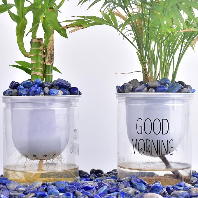 Polished Lapis Lazuli Crystals - 0.5" 10 oz Handpicked Natural Tumbled Gemstones Rocks, Pebbles for Reiki, Chakra, Healing Home Decor