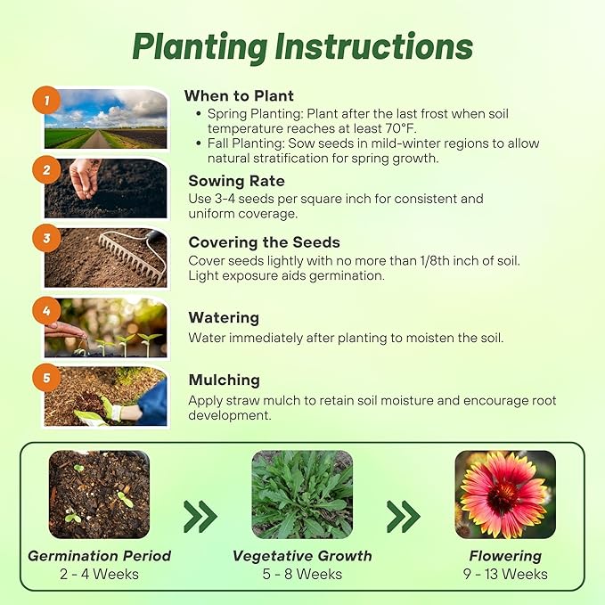 Outsidepride Gaillardia Aristata Red Blanket Flower Seeds for Planting - 1 lb Perennial Wildflower Seeds, Drought-Tolerant for Xeriscaping, Borders, Pollinator Gardens, or Wildflower Mixes